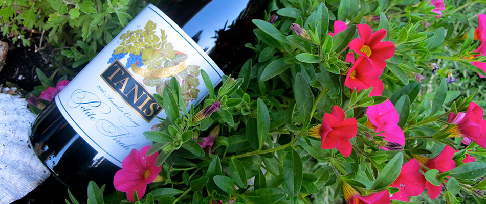 A bottle of Tanis wine in purple flowers.