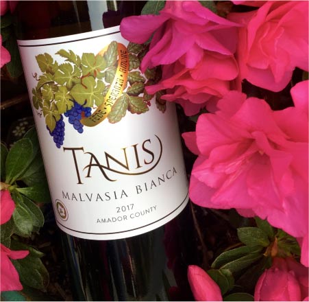 Bottle of Tanis Wine in Pink Flowers