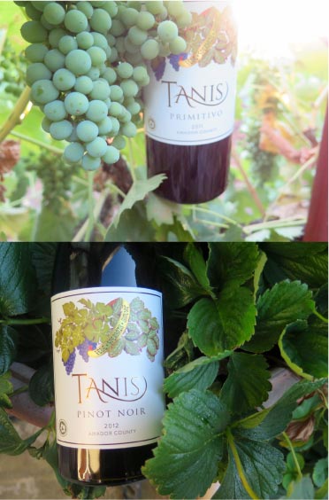 New Tanis Wine 2016 Amador Wine Release