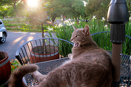 A relaxing evening at the winery.