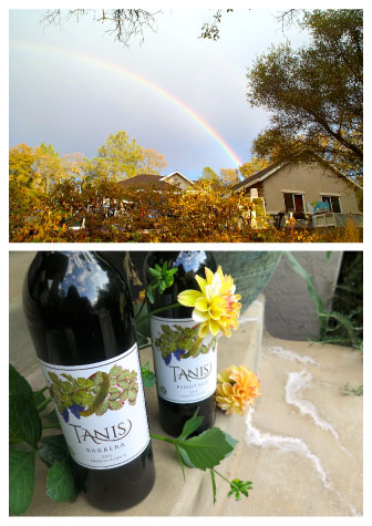 Rainbow and Tanis Wine